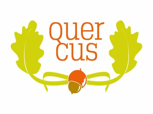 Quercus